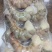 草虾仁，酒店家庭料理专用