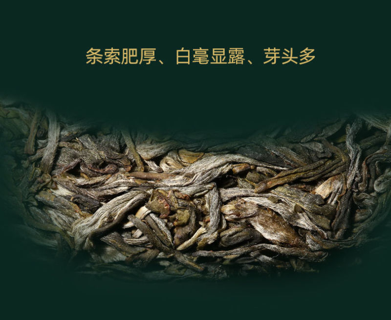 357g烟香感中期茶品质云南普洱茶孔雀绿印生茶