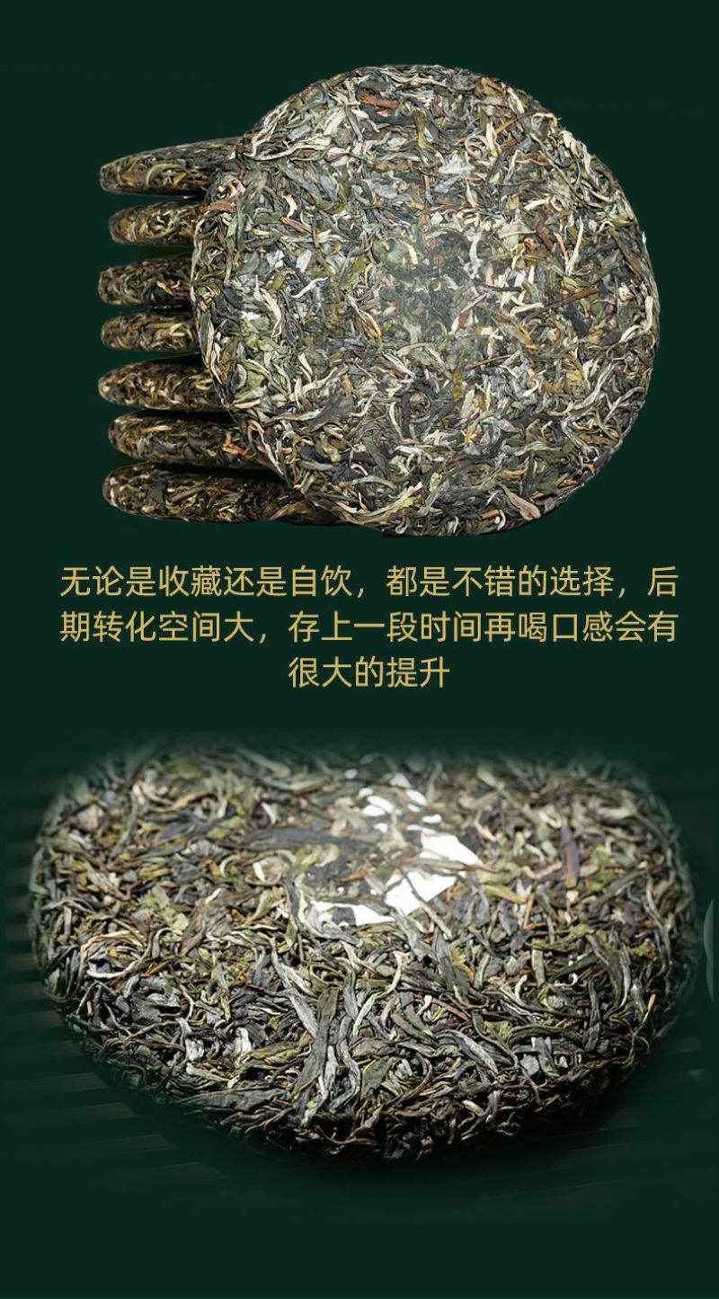 357g烟香感中期茶品质云南普洱茶孔雀绿印生茶