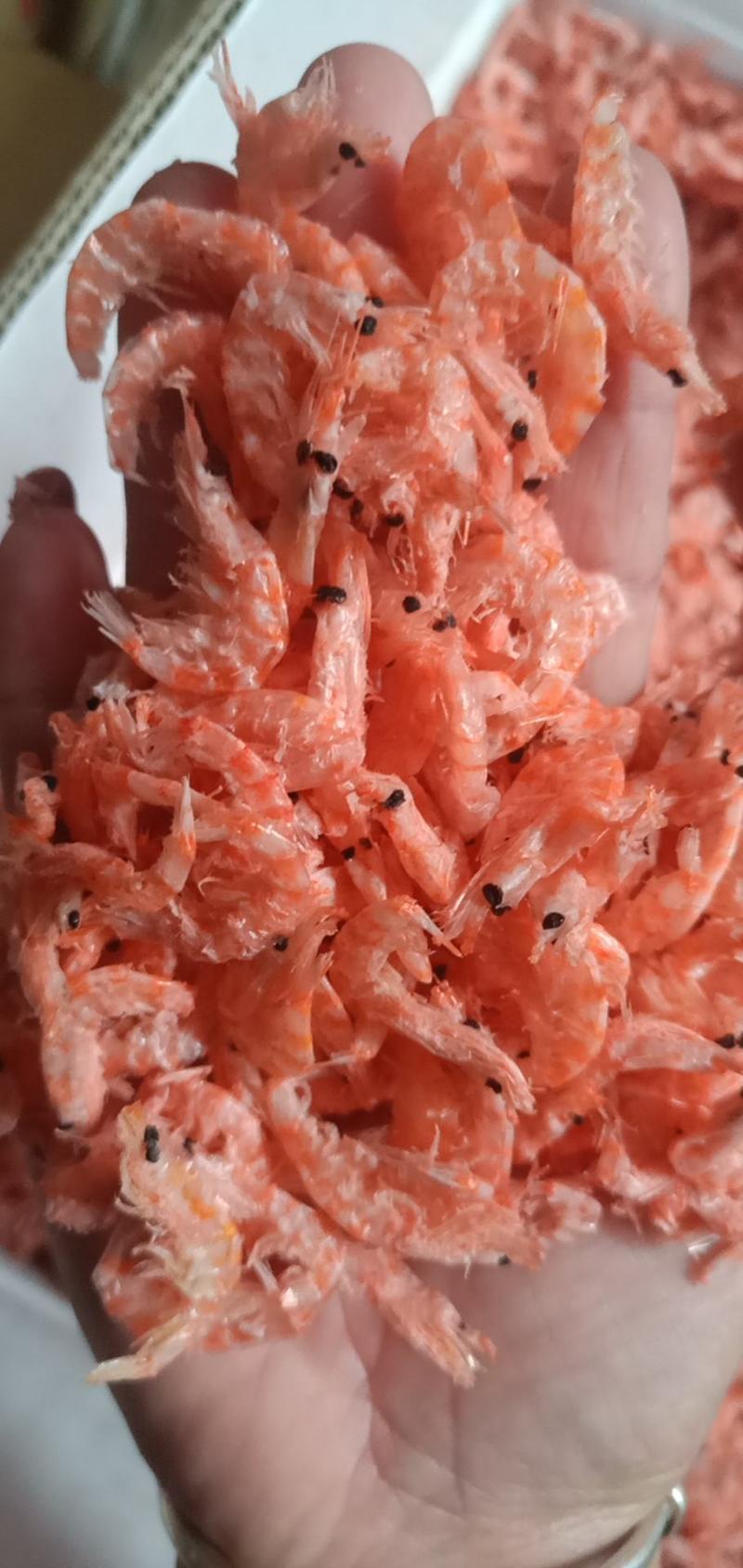鳞虾虾皮淡干无盐，产地直发。大量现货。