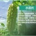 43%戊唑醇农药杀菌剂白粉病斑点落叶病炭疽稻曲病蔬菜果树