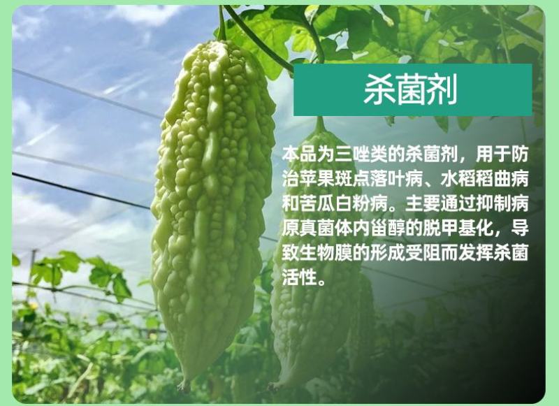 43%戊唑醇农药杀菌剂白粉病斑点落叶病炭疽稻曲病蔬菜果树