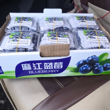 高原，绿色，优质，蓝莓，欢迎各位老板采购