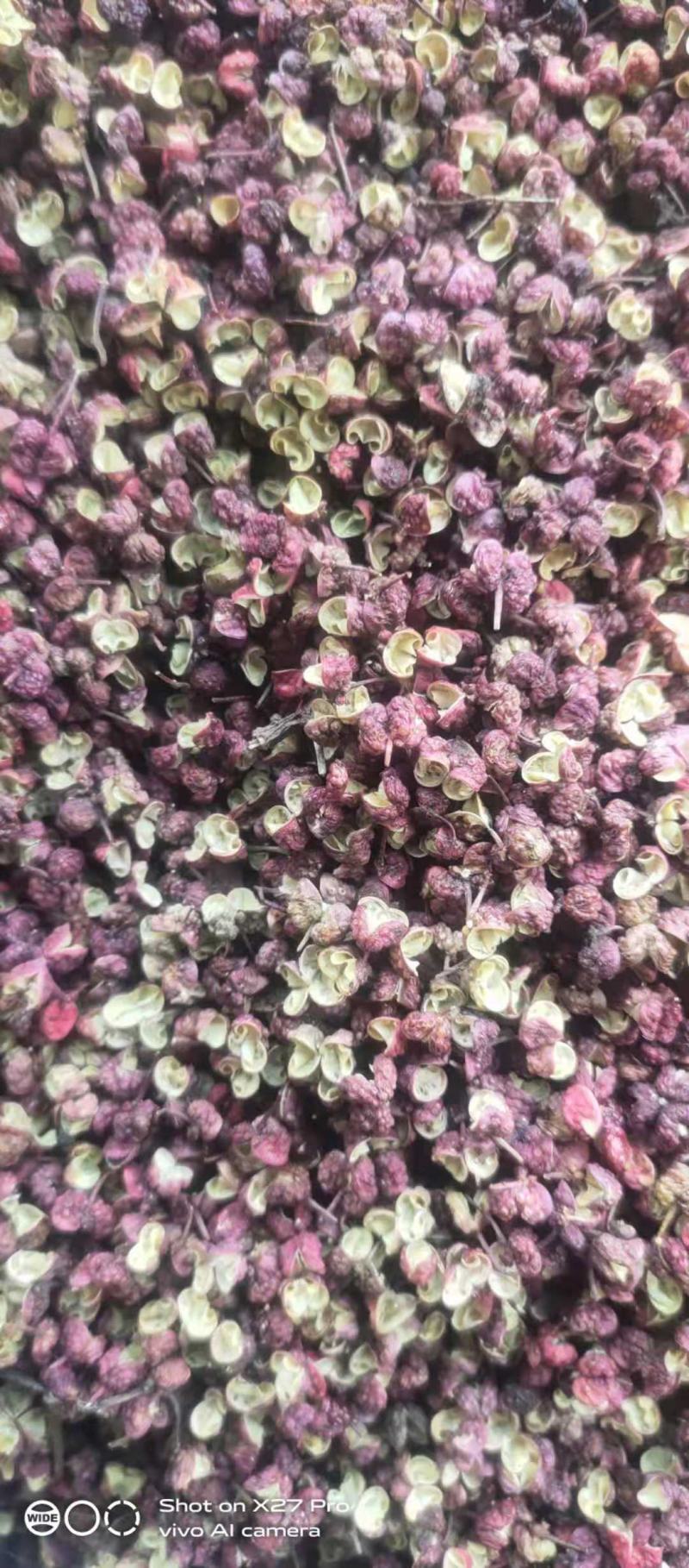 2022年新货大红袍花椒！颗粒大麻度高、饭店火锅店专用椒