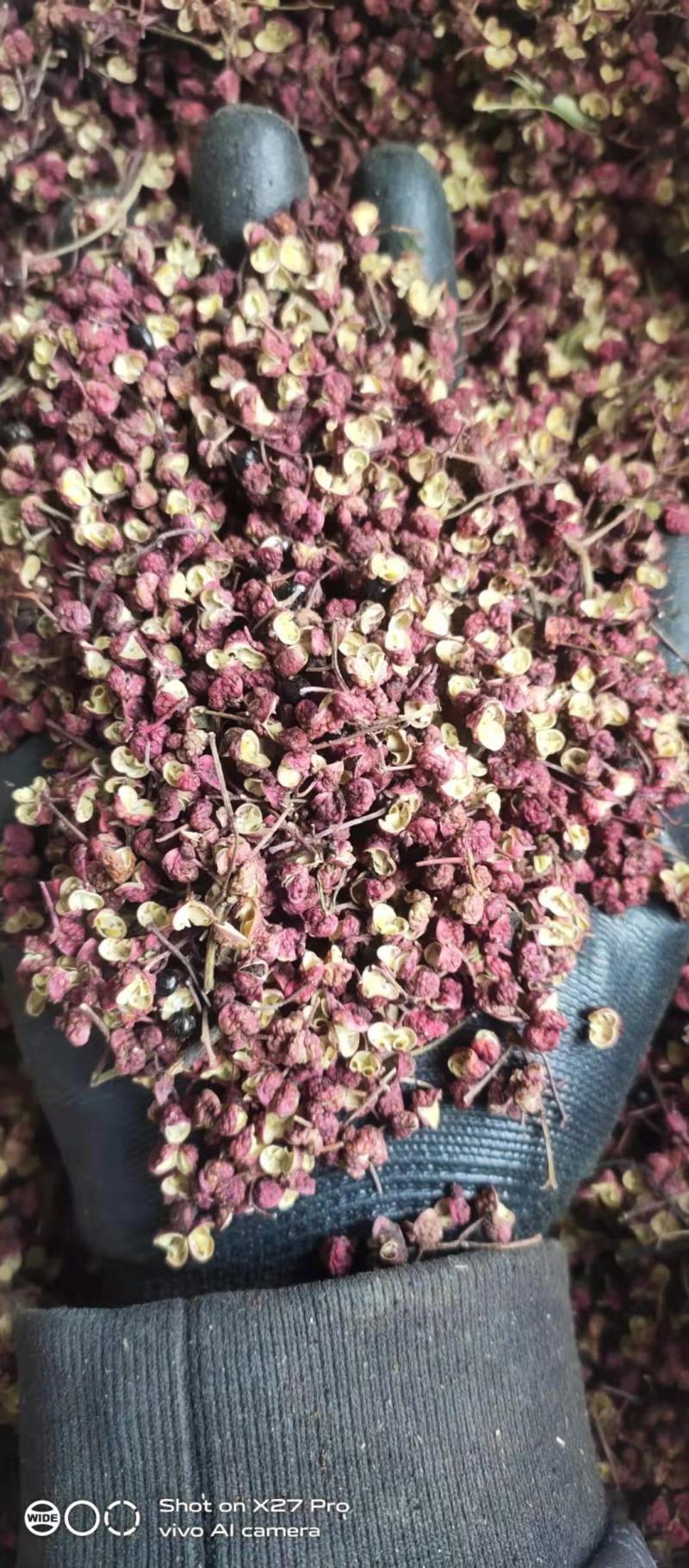 2022年新货大红袍花椒！颗粒大麻度高、饭店火锅店专用椒