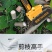 (包邮）旗航店顶配德国电动剪刀果树充电式修枝剪锂电修树