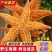 满子海星海鲜鲜活水产新鲜海五星冷冻活体熟发