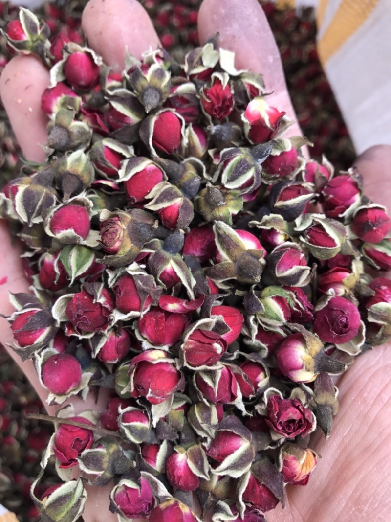 金边玫瑰花茶干花云南特产源头产地一手货源批发