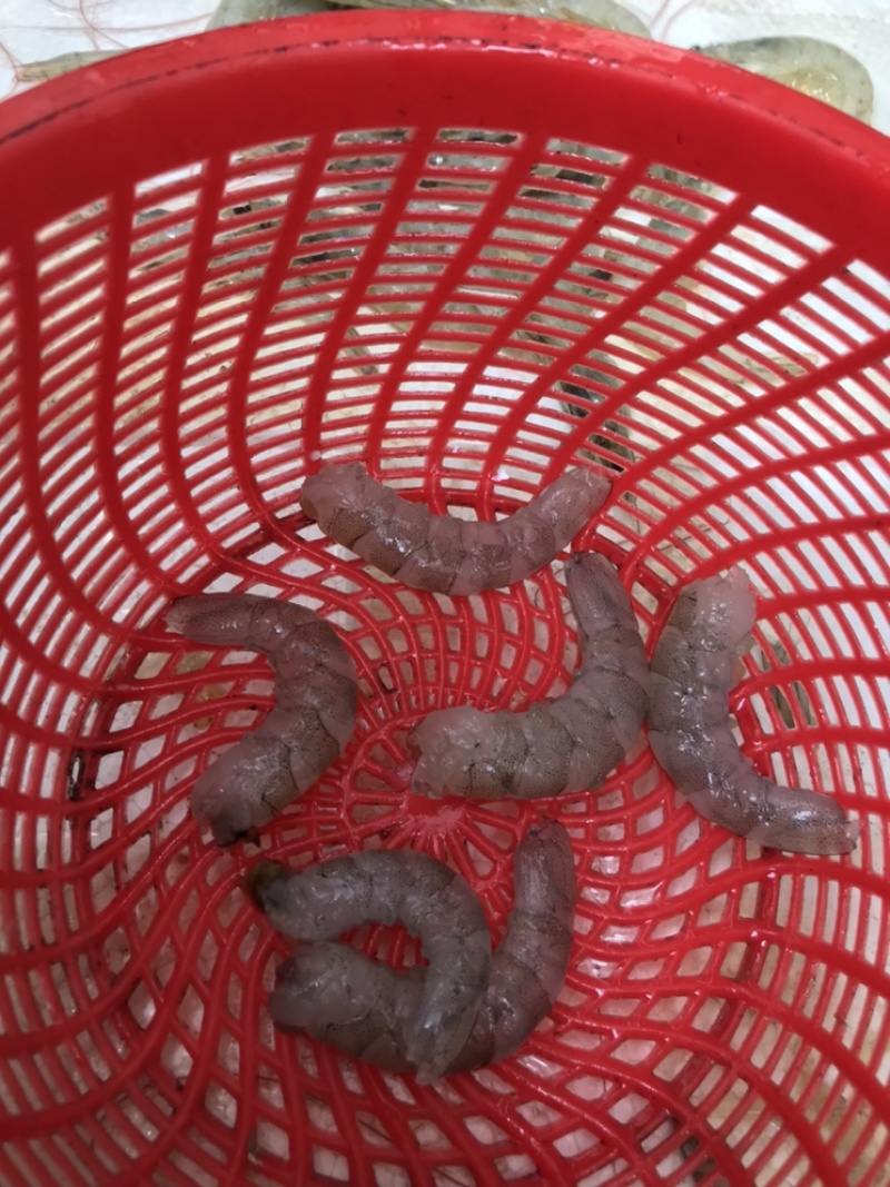 当天现扒对虾肉，虾仁，买的放心，吃得安心，无添加剂