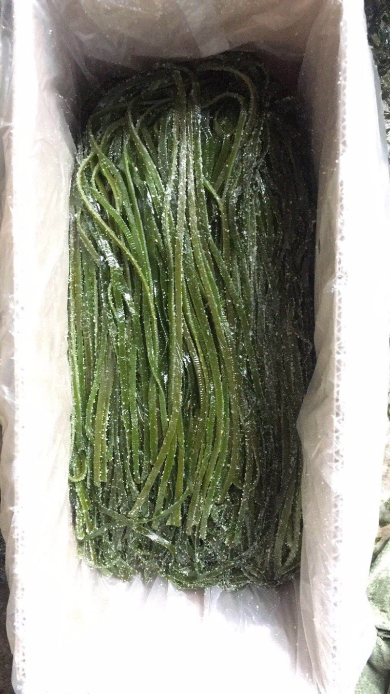 荣成盐渍海带丝净重5斤25元1箱.品质保证，欢迎选购