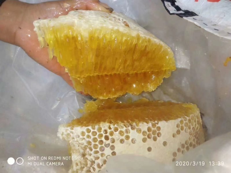 云南原始森林野生蜂蜜