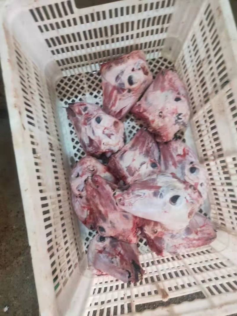（扒皮羊头）（价格便宜）做工精细二斤多一个自己加工