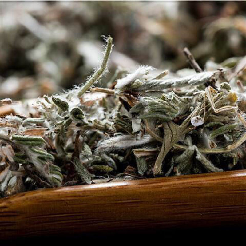 翻白草免邮野生正品500g克翻白草茶地骨皮干货番