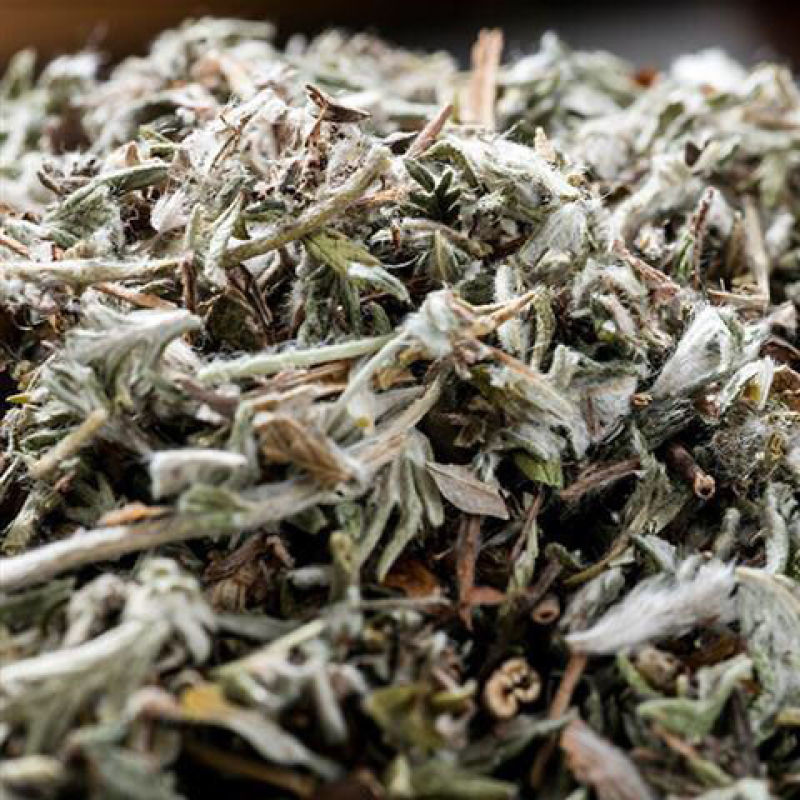 翻白草免邮野生正品500g克翻白草茶地骨皮干货番