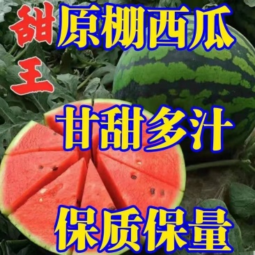 原棚西瓜【甜王】产地一手货源头茬甘甜大量上市