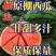 原棚西瓜【甜王】产地一手货源头茬甘甜大量上市