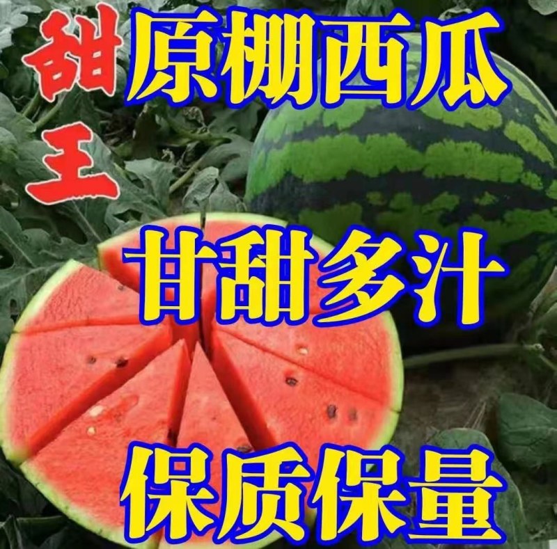 大棚西瓜【包甜包熟】甜王西瓜原棚头茬产地大量上市