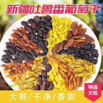 新疆大颗粒葡萄干独立包装零食坚果支持一件代发