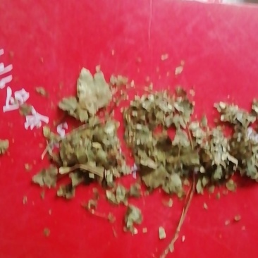 精品山楂叶