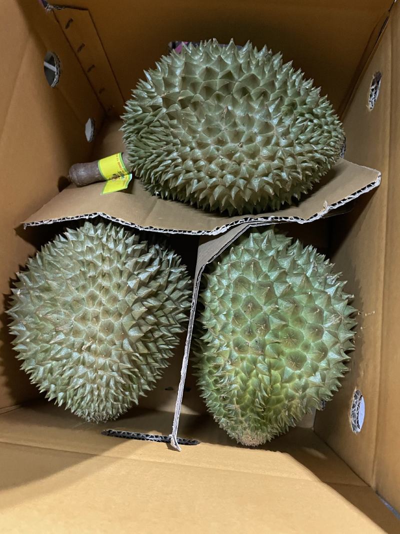 8kgs玛雅榴莲,泰国果园采摘，顺丰包邮到家！