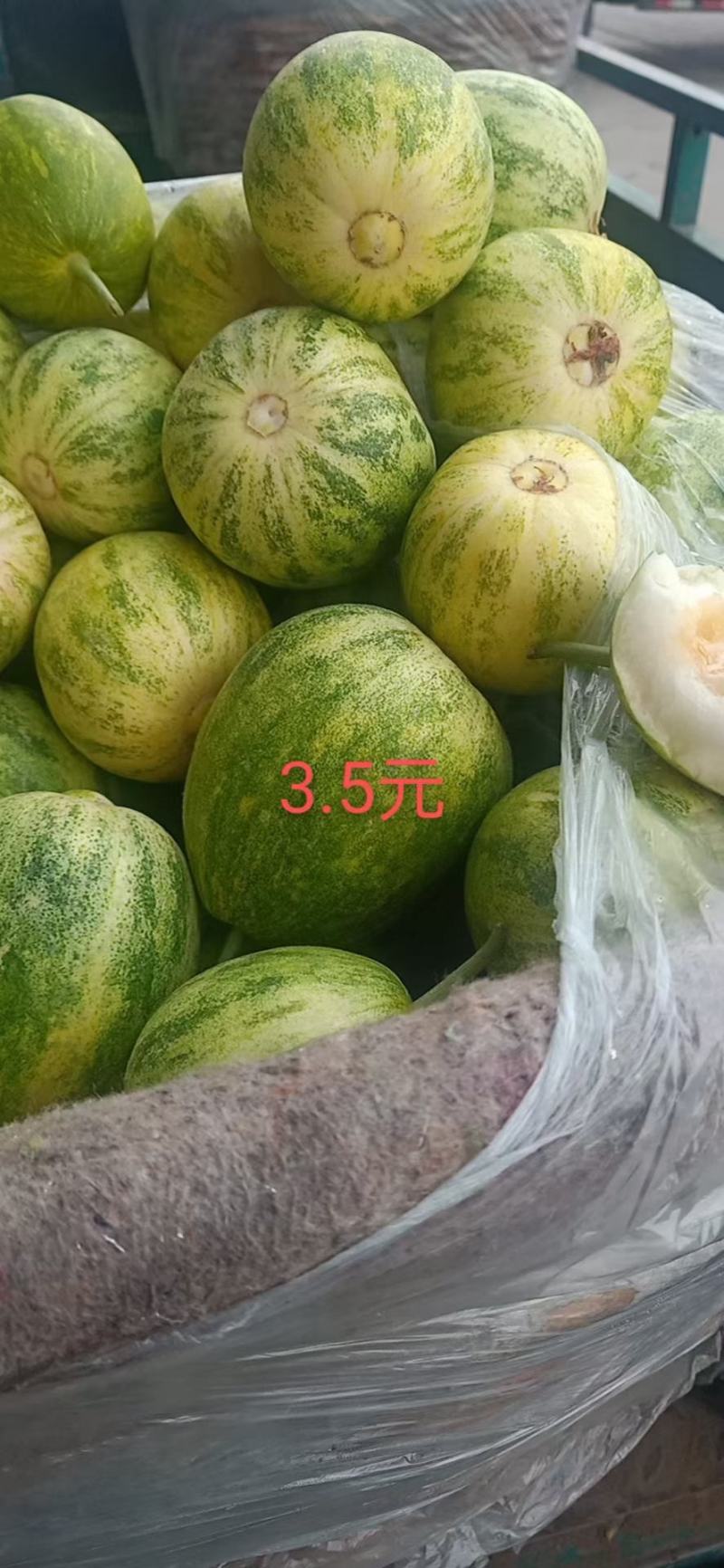 乐亭暖棚甜瓜，产地供应，对接电商，一件代发！货源充足！