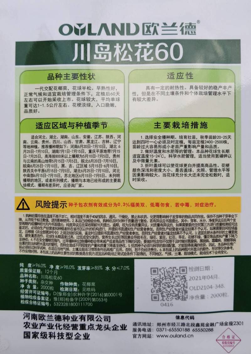 川岛松花60松花菜种子欧兰德早熟耐热青梗小米粒有机菜花