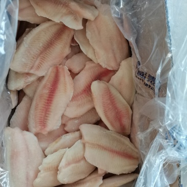 鲷鱼片生鲷鱼片罗非鱼片鲷鱼片生鲷鱼片鱼肉