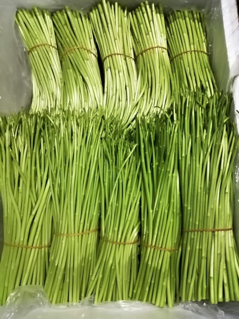 云南精品黎蒿芦篙，去跟叶净菜，质量保证，全国发货