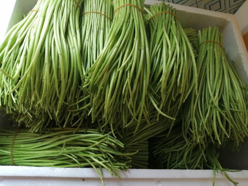 云南精品黎蒿芦篙，去跟叶净菜，质量保证，全国发货