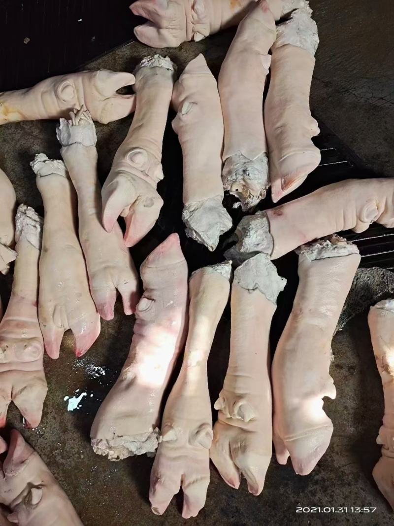 牛蹄，火烧毛大公牛带骨牛蹄，水退牛蹄都有货