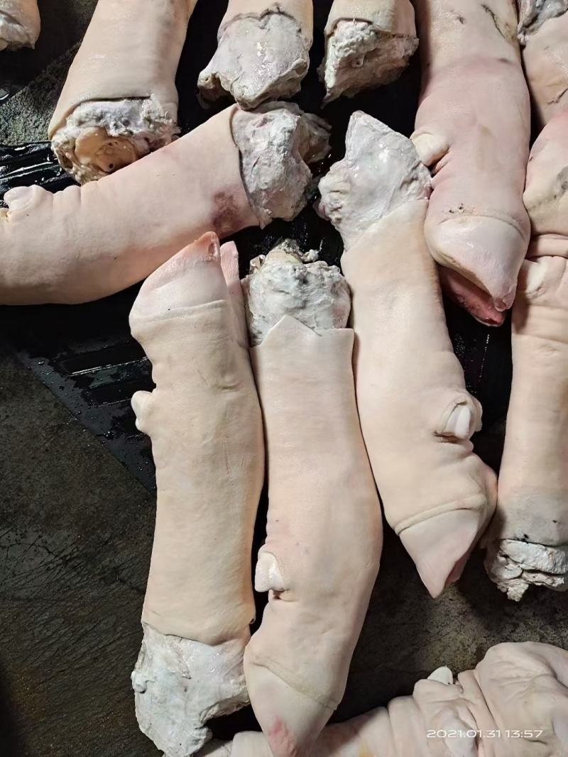 牛蹄，火烧毛大公牛带骨牛蹄，水退牛蹄都有货