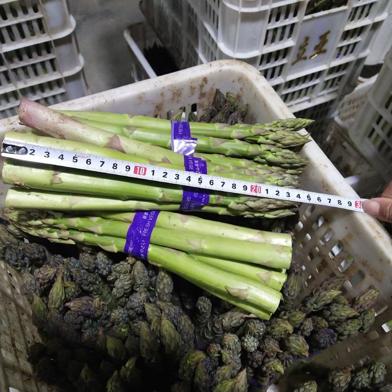 漯河百亩基地，新鲜采摘，保质保量，量大从优