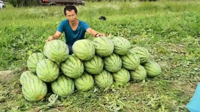 青农双红金五，双红，糖度13度以上，每年5万罐销量