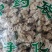 中药材灯盏花正品无硫熏干净无杂包邮到家