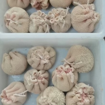 内蒙肚包肉，包脑，肉肠，血肠
