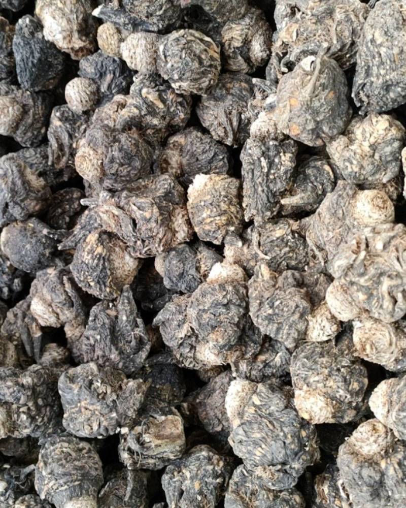 云南丽江产地玛咖，直销批发，大量有货，需要的老板欢迎采购