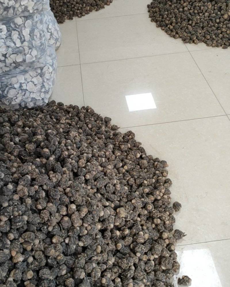 云南丽江产地玛咖，直销批发，大量有货，需要的老板欢迎采购