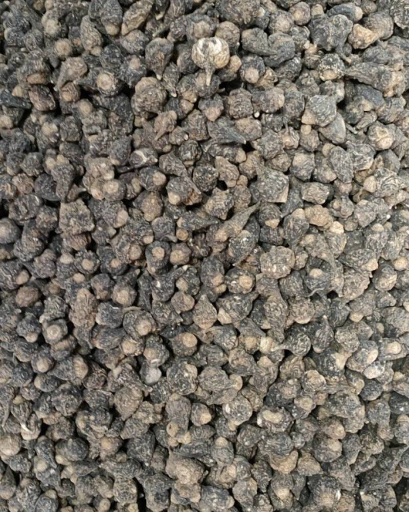 云南丽江产地玛咖，直销批发，大量有货，需要的老板欢迎采购