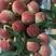 水蜜桃现已大量上市，货量充足，品质保障，欢迎全国老板采购