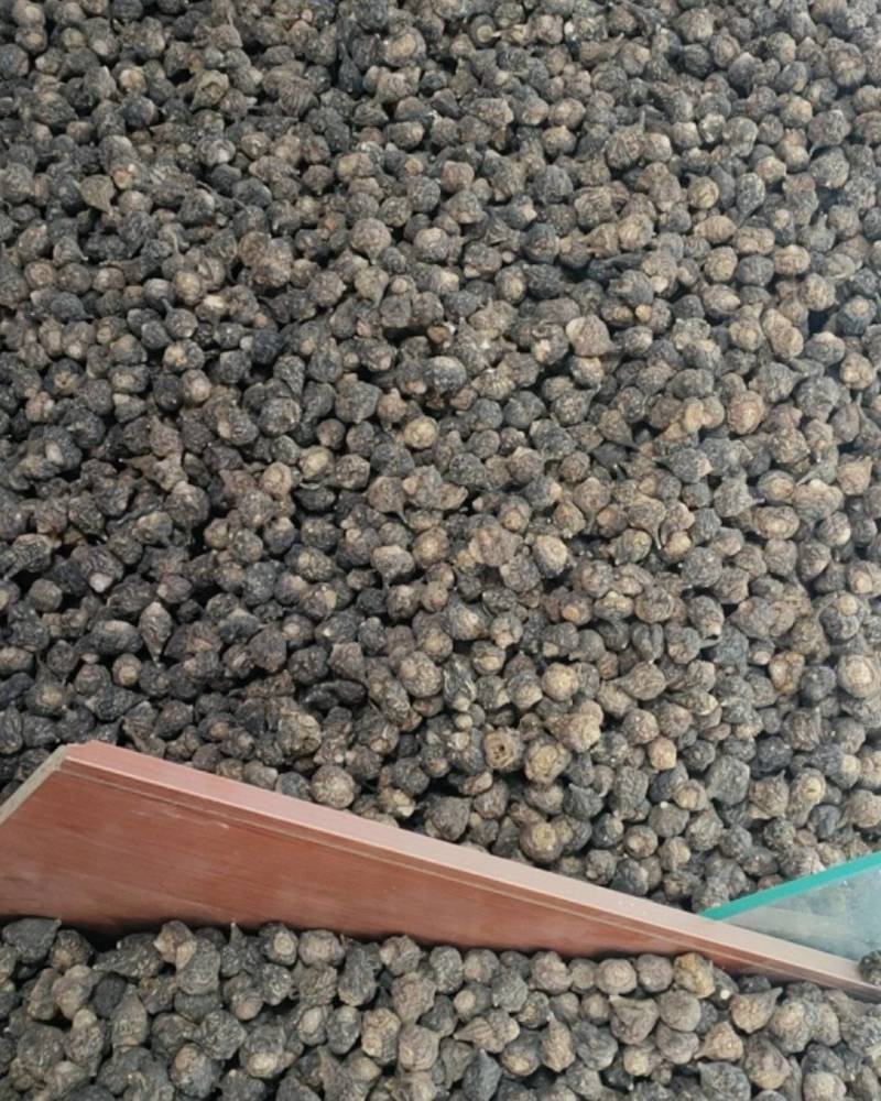 云南丽江产地玛咖，直销批发，大量有货，需要的老板欢迎采购
