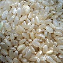 香糙米