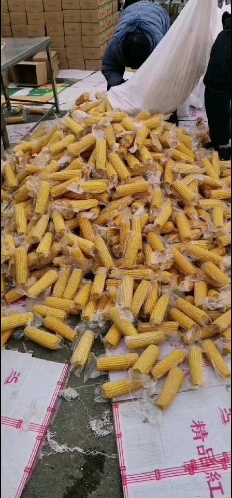 糯玉米