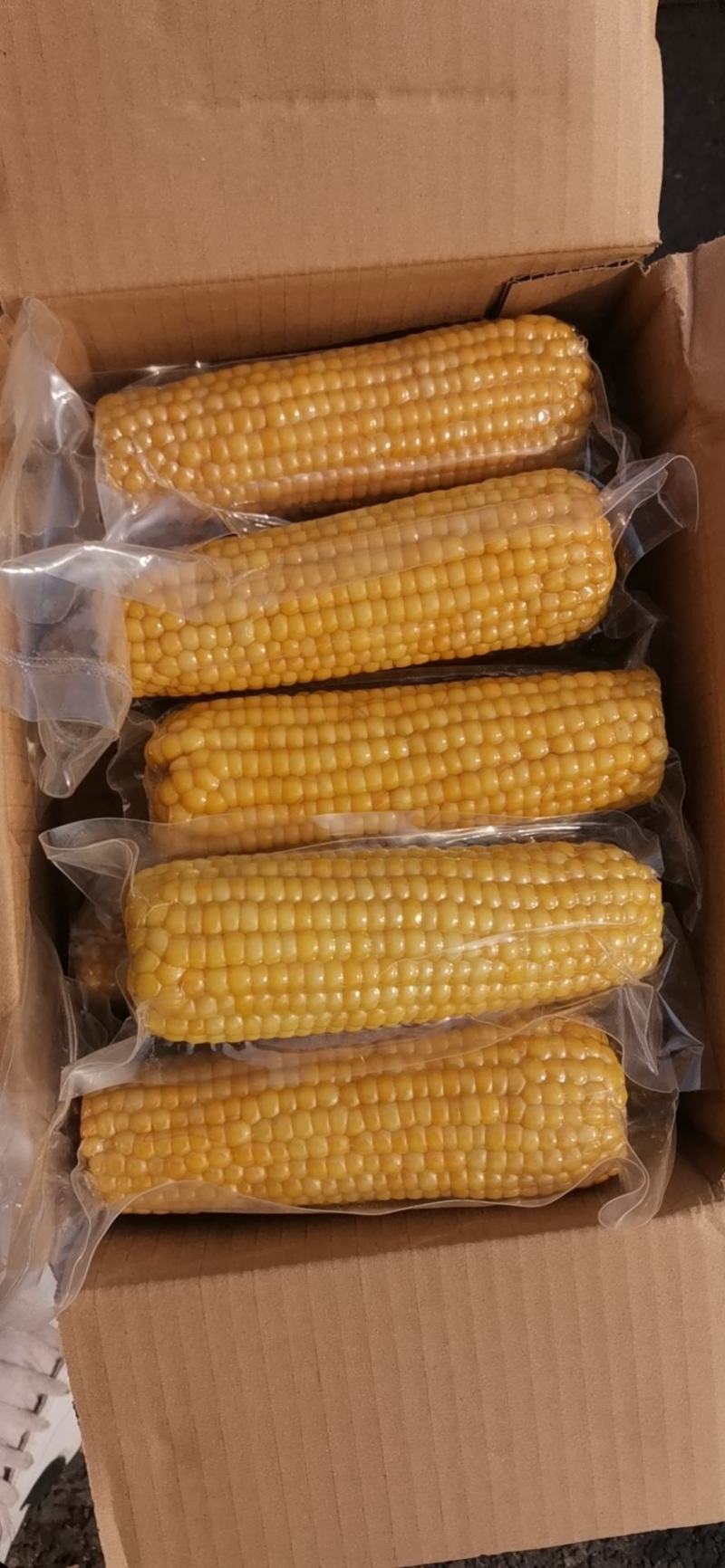 糯玉米