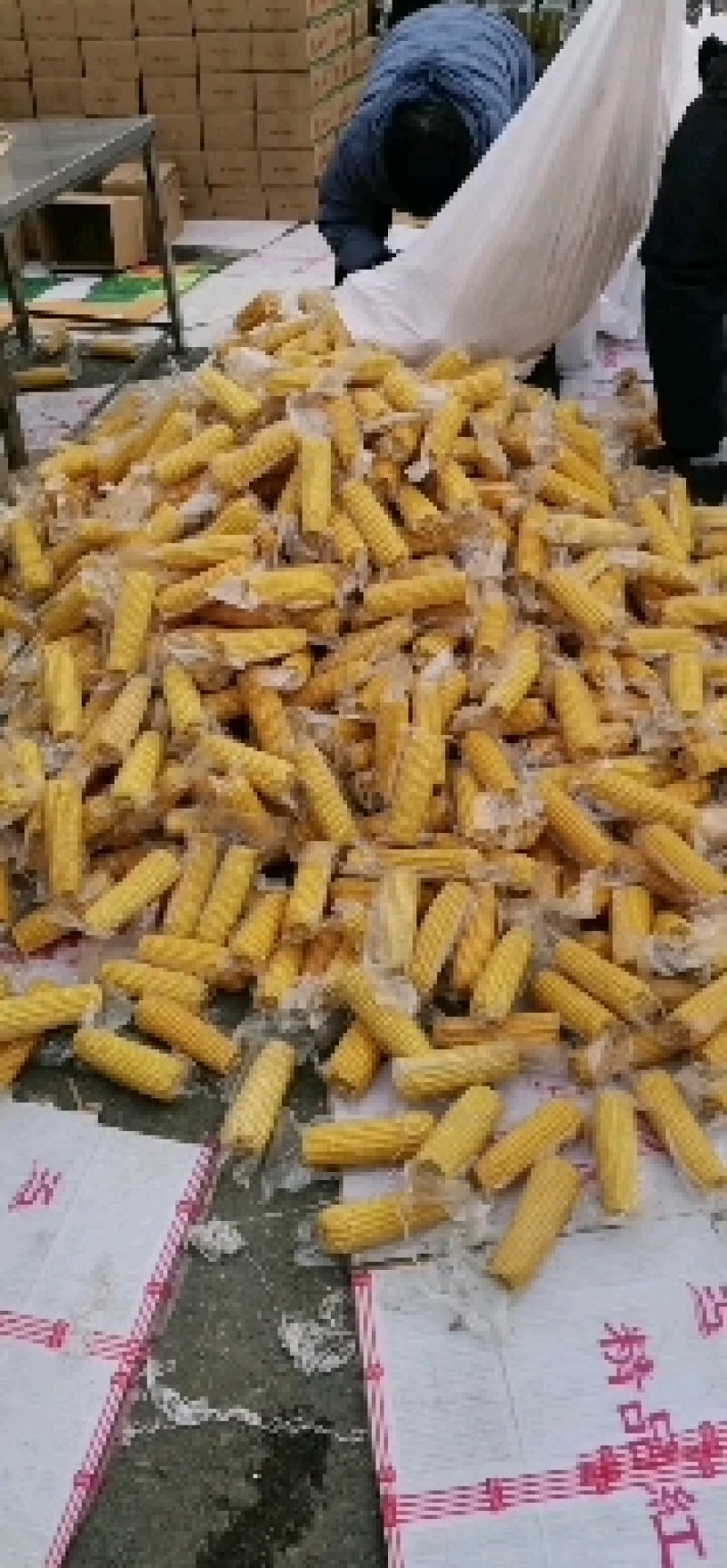 糯玉米