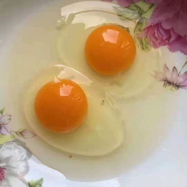 绿壳乌鸡蛋