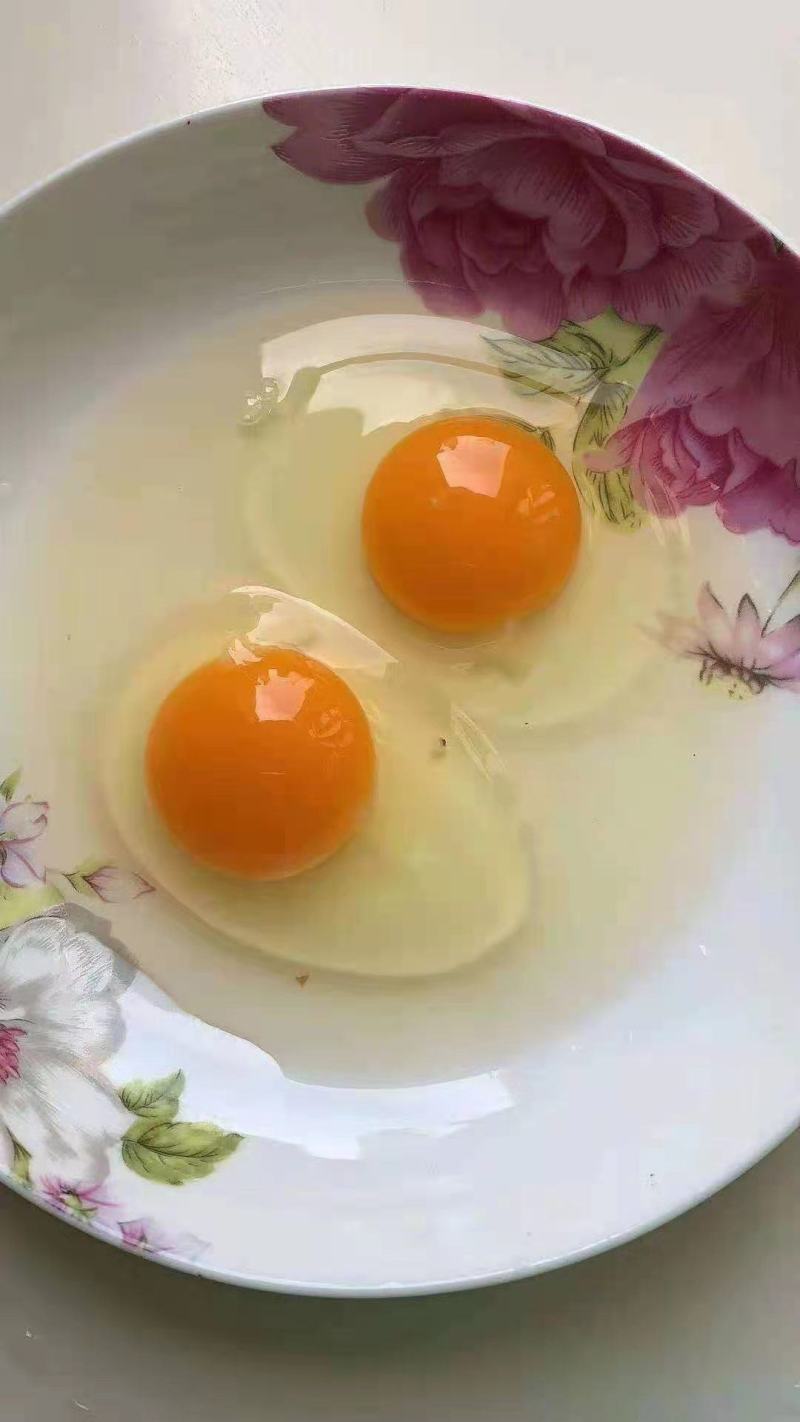 绿壳乌鸡蛋