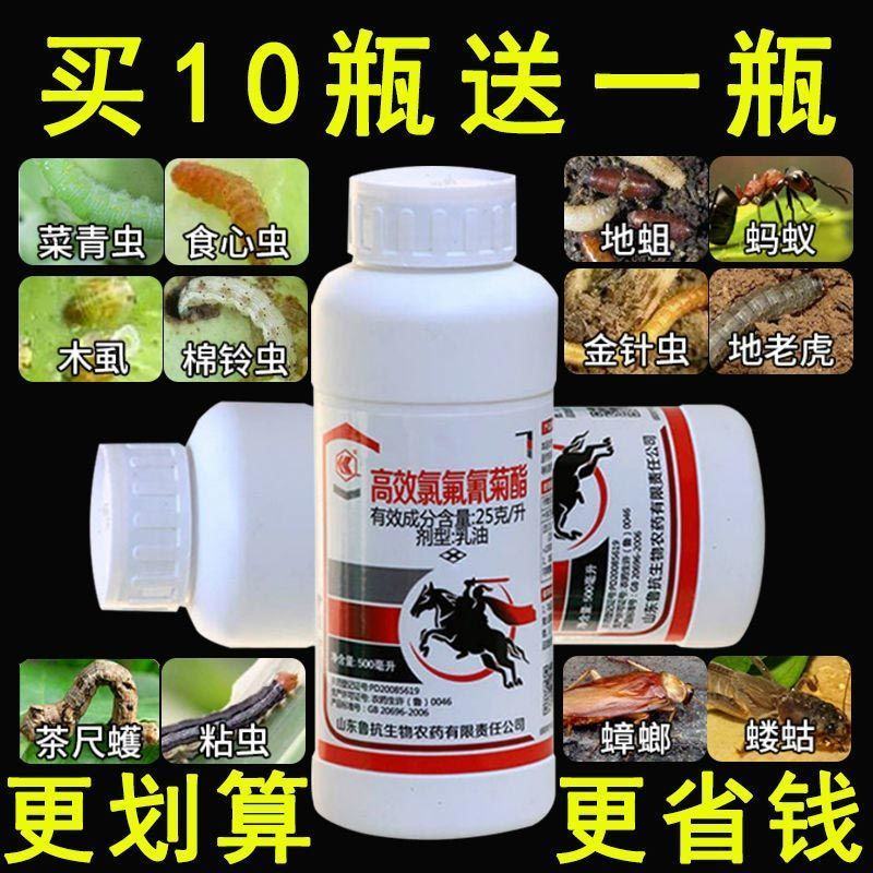 高效氯氟氰菊酯杀虫剂果树蔬菜农药蚜虫菜青虫红蜘蛛药杀虫剂
