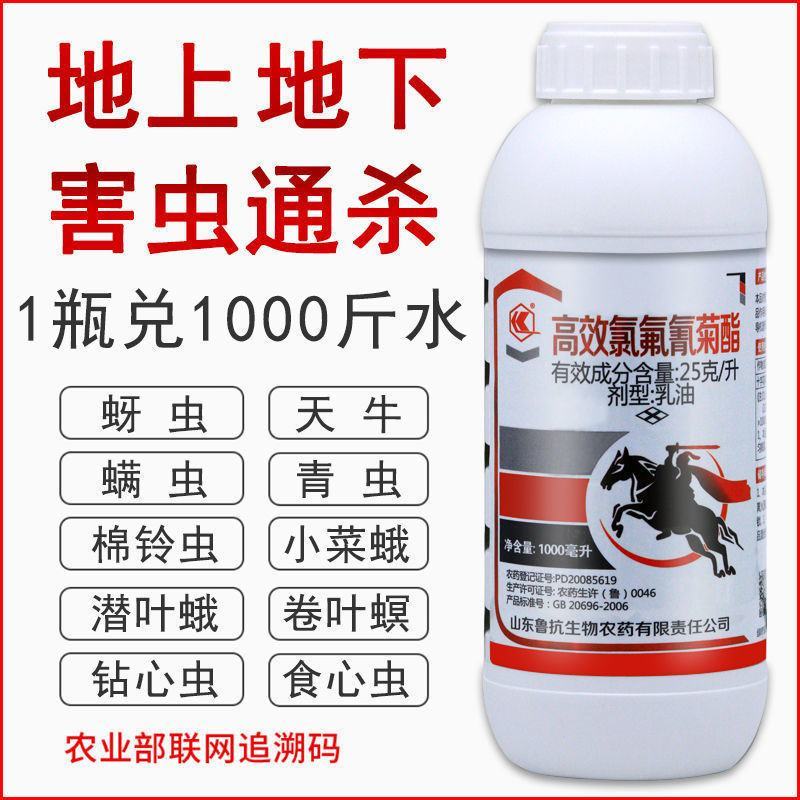高效氯氟氰菊酯杀虫剂果树蔬菜农药蚜虫菜青虫红蜘蛛药杀虫剂