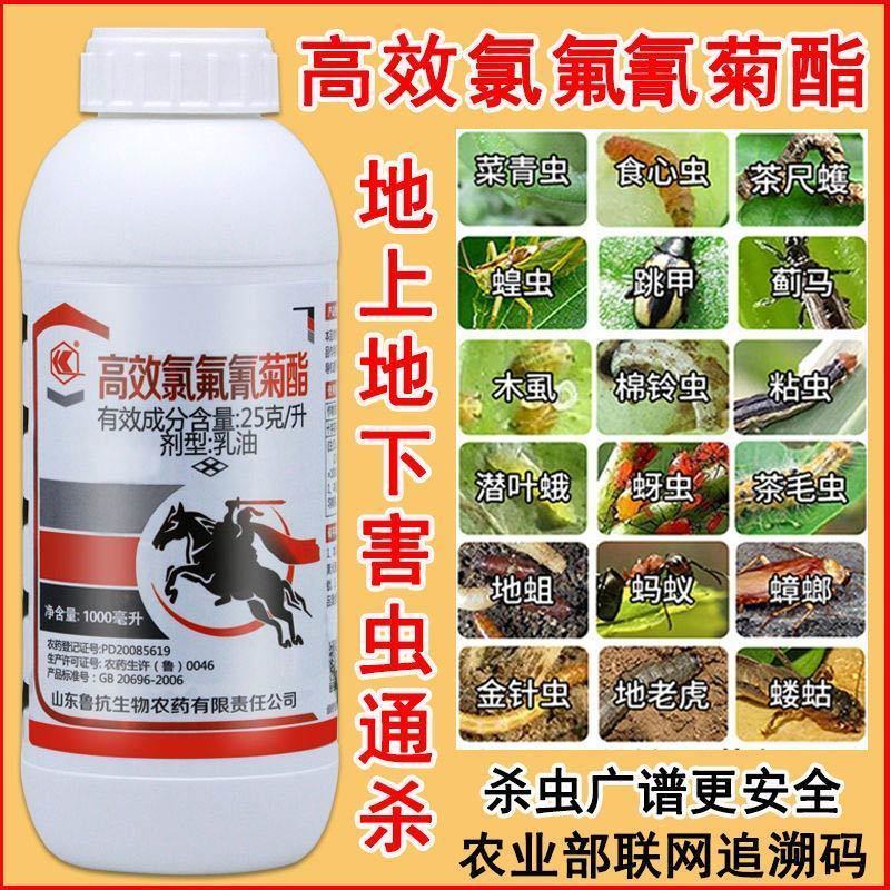 高效氯氟氰菊酯杀虫剂果树蔬菜农药蚜虫菜青虫红蜘蛛药杀虫剂
