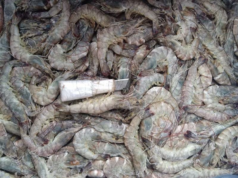 奥迪A6大虾24斤4050单条单冻高品质大虾性价比高